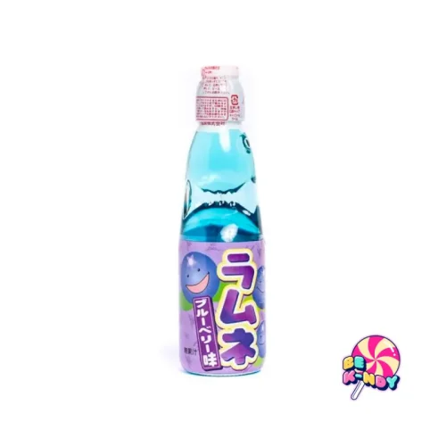 HATAKOSEN RAMUNE BLUEBERRY FL 30X200ML