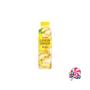 OKF BEBIDA LIMÓN Y JENGIBRE 20/500ML