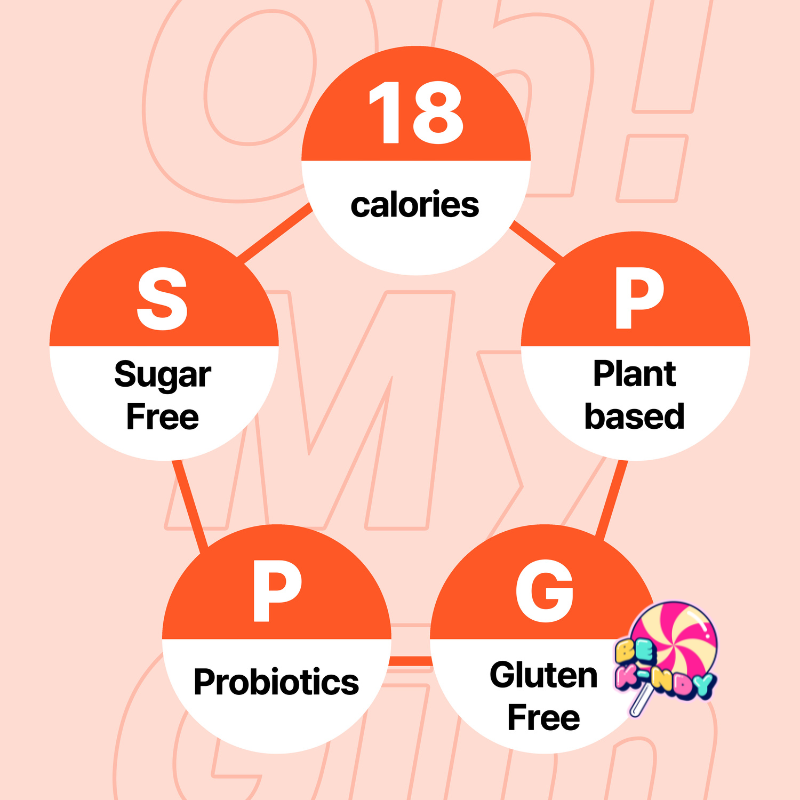 OMG OHMYGIM SEASONED SEA SALT Y KIMCHI 9x4G - Imagen 3