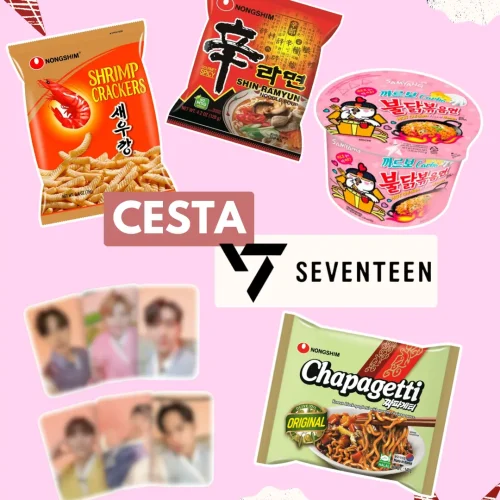 CESTA - Seventeen